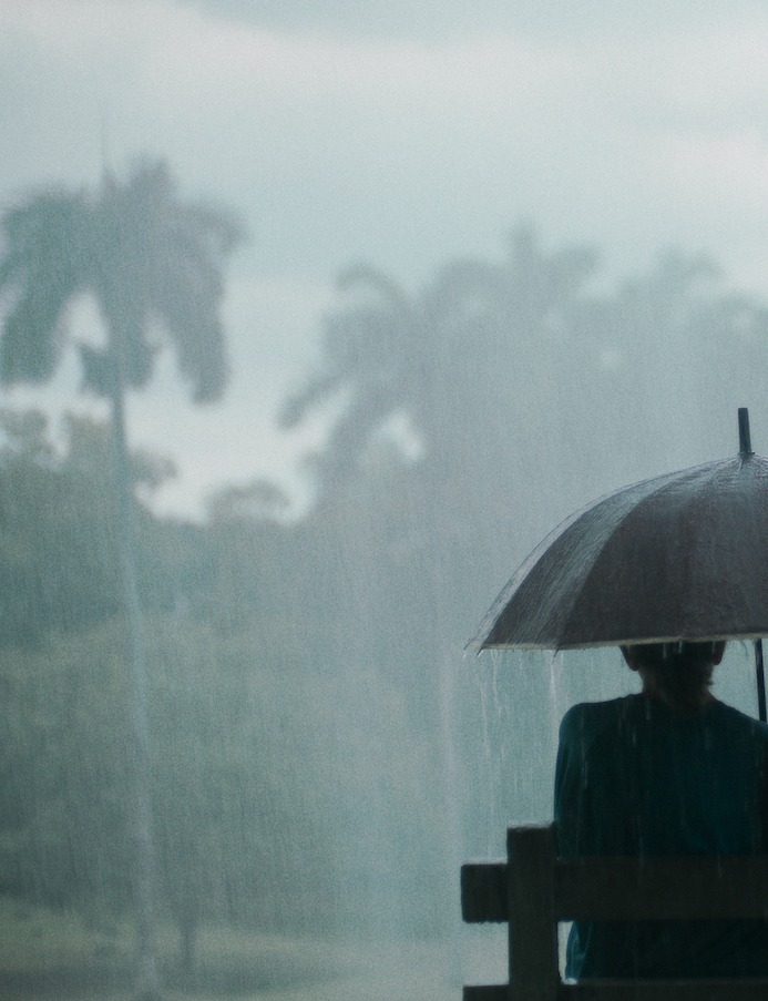 L_r1_c1_processed_by_imagy