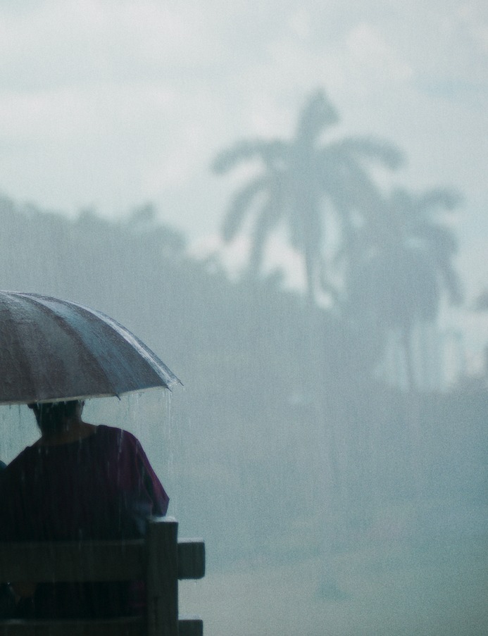 L_r1_c2_processed_by_imagy