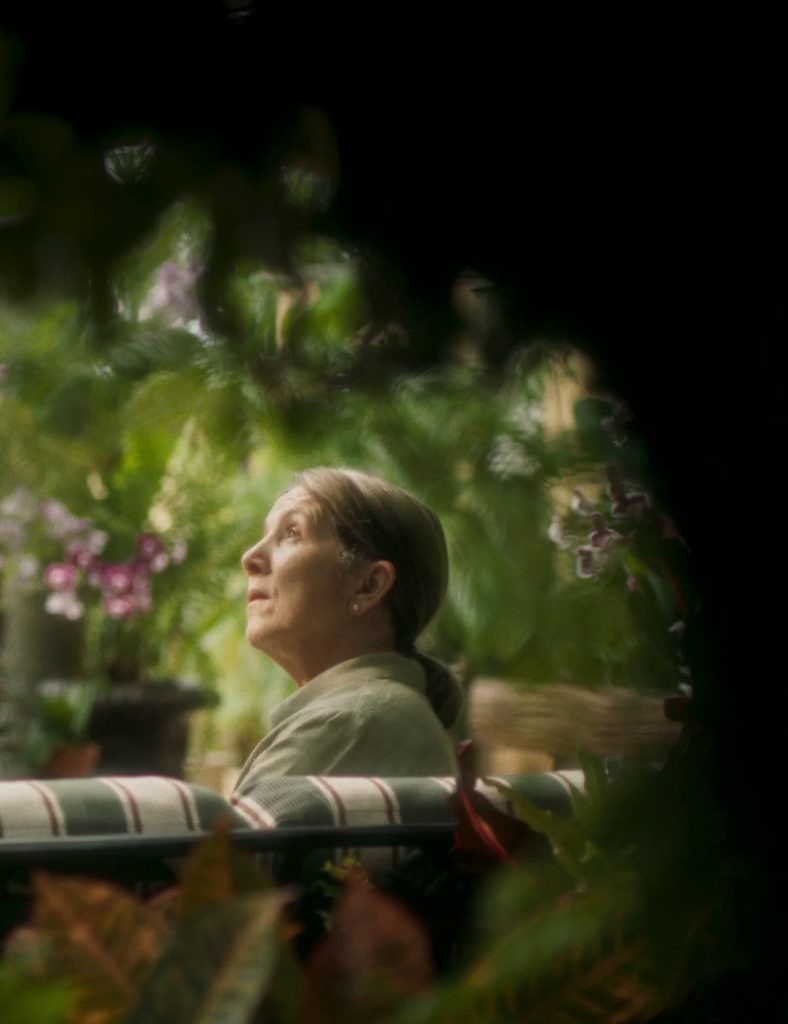 QT_8_r1_c2_processed_by_imagy